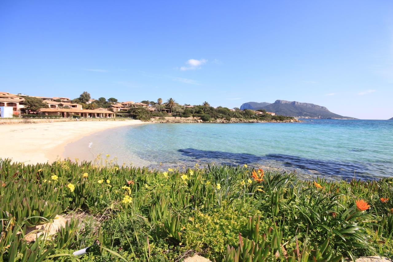 Apartment In S'Abba E Sa Pedra With Pool Golfo Aranci Exterior foto