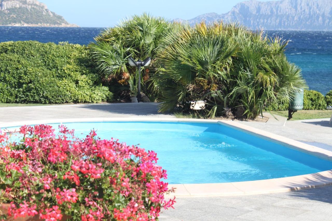 Apartment In S'Abba E Sa Pedra With Pool Golfo Aranci Exterior foto